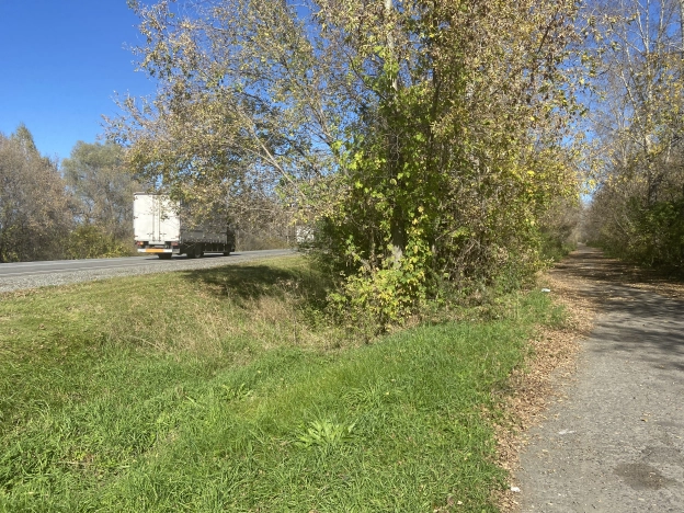 Купить земельный участок на улице Яминская в Алтайском крае. Вариант № 16093, 3, площадь -  квм, цена 11000000 рублей