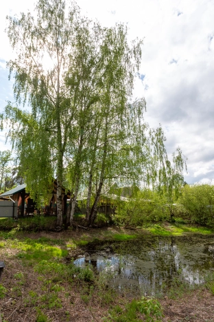 Снять дом в Владимирской области. Вариант № 42477, 29, площадь -  квм, цена 35000 рублей