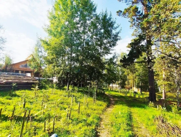 Купить земельный участок в Искитиме. Вариант № 19506, 31, площадь -  квм, цена 3430000 рублей