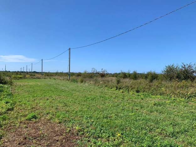 Купить земельный участок в Калининграде. Вариант № 31157, 0, площадь - квм, цена 590000 рублей