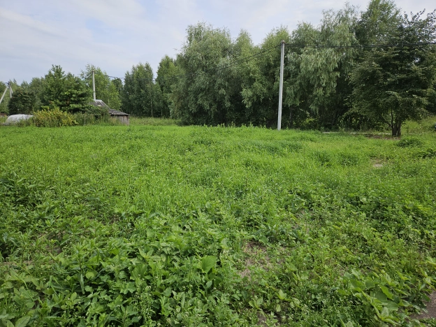 Купить земельный участок в Тобольске. Вариант № 1050538, 7, площадь -  квм, цена 1600000 рублей