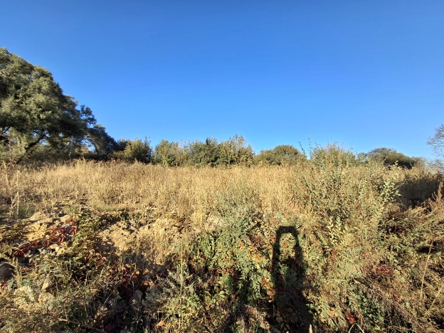 Купить земельный участок в Уссурийске. Вариант № 6075764, 2, площадь -  квм, цена 6000000 рублей