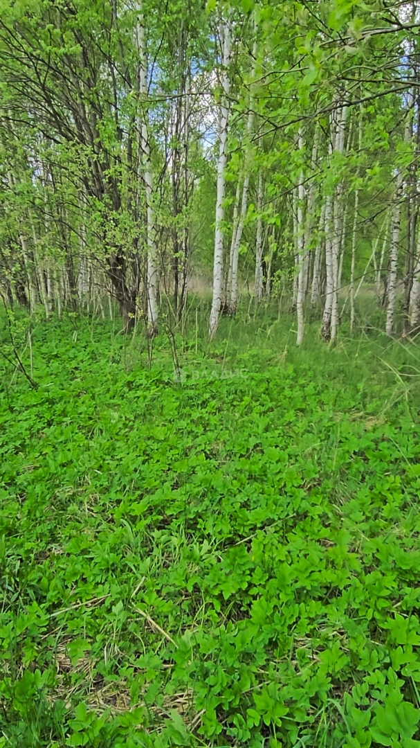 Photo https://36000382-a1c2-4a8a-a109-3fc3bfc73cf7.selcdn.net/App/Entity/ObjectRealty/ObjectRealty/IL/5b7b754a-c8cd-4e2c-959b-8d6ec3de2522/xypo9kv7mjoSehwc5zdl6GV9lEREUQdFjcHc1vLe.jpg.compressed.webp