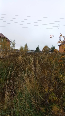 Купить земельный участок в Владимире. Вариант № 6956352, 4, площадь -  квм, цена 3650000 рублей