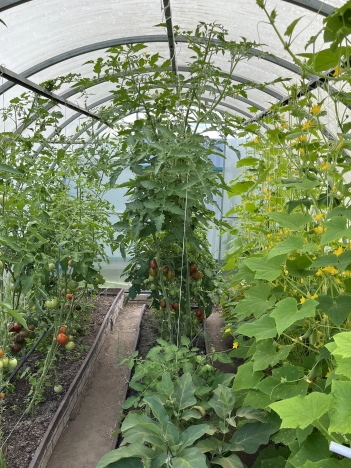 Купить дом в Багратионовске. Вариант № 10752, 8, площадь -  квм, цена 10590000 рублей