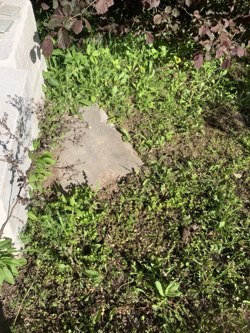 Купить дом в Гороховеце. Вариант № 46101, 28, площадь -  квм, цена 2800000 рублей