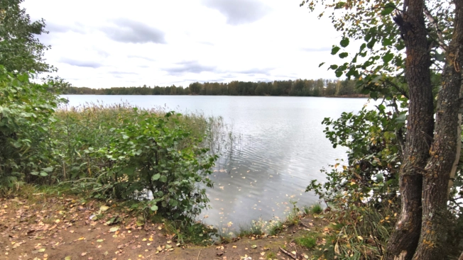 Купить дачу в Московской области. Вариант № 6272527, 25, площадь -  квм, цена 2300000 рублей