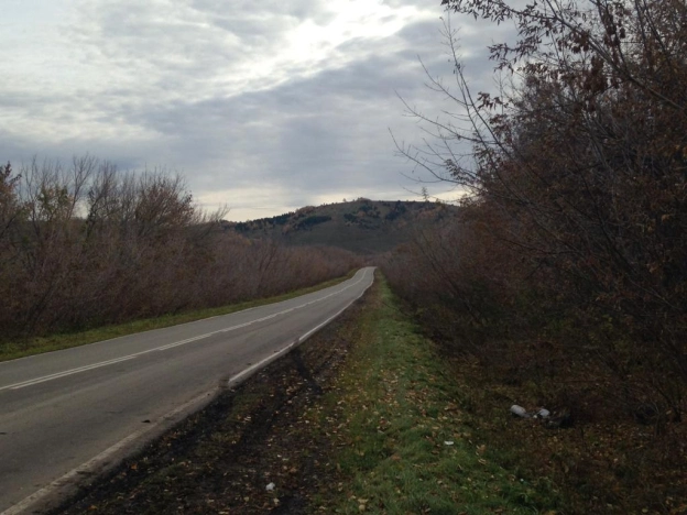 Купить земельный участок на улице Полевая в Алтайском крае. Вариант № 33369, 4, площадь -  квм, цена 2500000 рублей