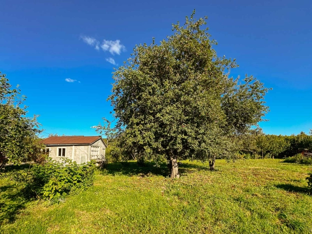 Купить дачу в Владимирской области. Вариант № 8222623, 4, площадь -  квм, цена 950000 рублей