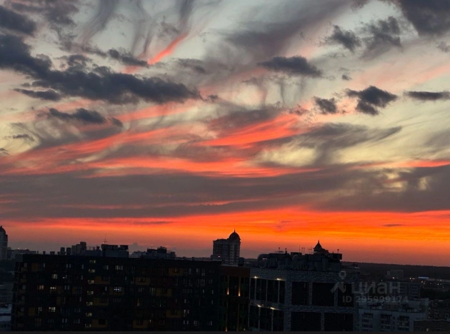 Купить квартиру в Москве. Вариант № 8059684, 15, площадь - квм, цена 31500000 рублей