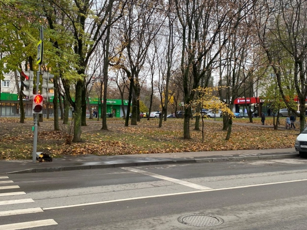 Снять квартиру в Москве. Вариант № 8479702, 30, площадь -  квм, цена 70000 рублей