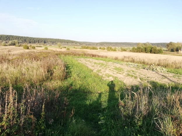 Купить земельный участок в Тульской области. Вариант № 3392, 2, площадь -  квм, цена 700000 рублей