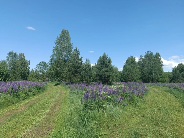 Купить земельный участок в Коврове. Вариант № 8619, 6, площадь -  квм, цена 1950000 рублей