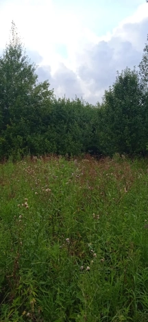 Купить земельный участок на улице Песочная в Ивановской области. Вариант № 10613, 2, площадь -  квм, цена 650000 рублей