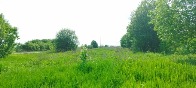 Купить земельный участок в Коломне. Вариант № 2434, 0, площадь -  квм, цена 700000 рублей