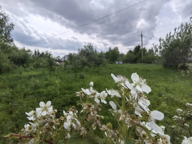 Купить дачу в Калуге. Вариант № 51217, 13, площадь -  квм, цена 597000 рублей