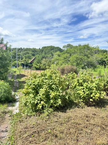 Купить земельный участок на улице Штабского в Уссурийске. Вариант № 14323, 12, площадь -  квм, цена 400000 рублей