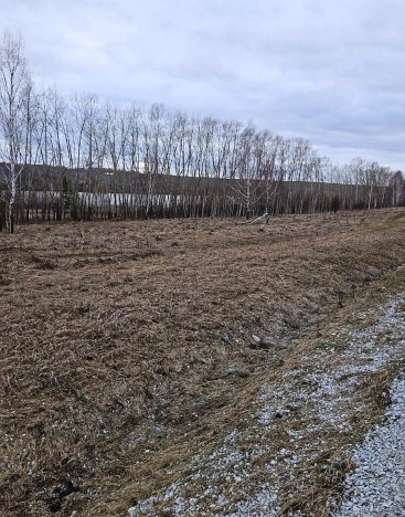 Купить земельный участок в Кемерове. Вариант № 7528, 1, площадь -  квм, цена 3990000 рублей