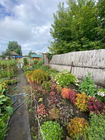 Купить дом на улице Садовая в Алтайском крае. Вариант № 2097163, 18, площадь -  квм, цена 3000000 рублей