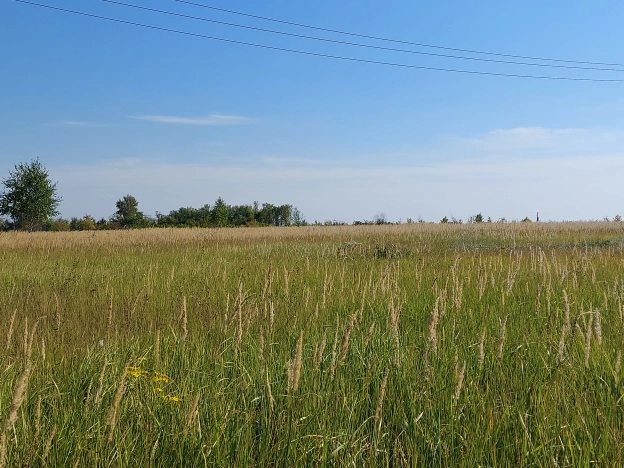 Купить земельный участок в Пензе. Вариант № 7175346, 1, площадь -  квм, цена 17000000 рублей