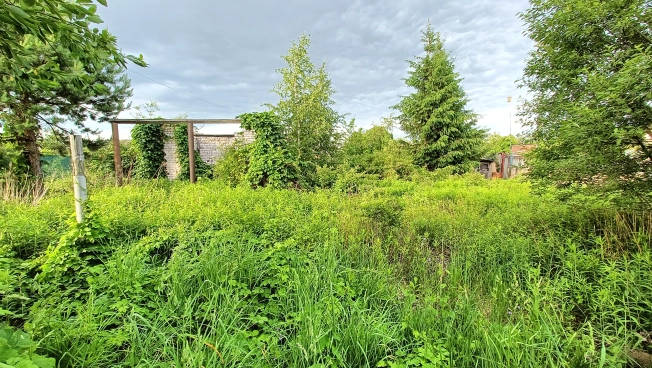 Купить земельный участок в Брянской области. Вариант № 51773, 0, площадь - квм, цена 450000 рублей