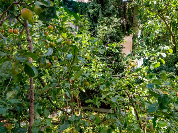 Купить дом в Зеленоградске. Вариант № 11504, 4, площадь -  квм, цена 35000000 рублей