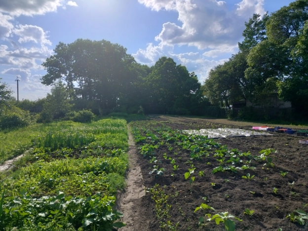 Купить земельный участок в Арсеньеве. Вариант № 8972, 2, площадь -  квм, цена 1300000 рублей