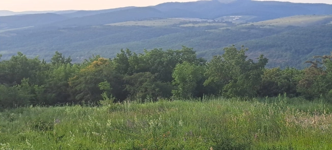 Купить земельный участок в Новороссийске. Вариант № 20833, 12, площадь -  квм, цена 5150000 рублей