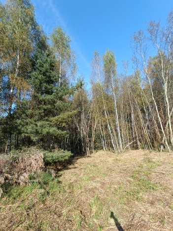 Купить земельный участок на улице Рудничная в Воскресенске. Вариант № 3663501, 5, площадь -  квм, цена 1500000 рублей