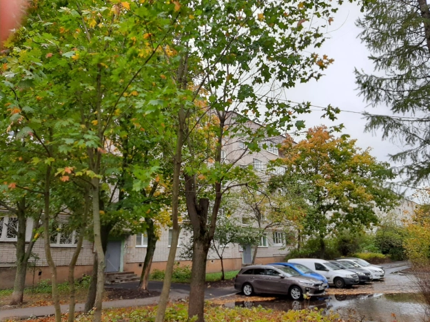 . Вариант № 7355, 18, площадь - 33 квм, цена 3700000 рублей