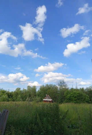 Купить земельный участок в Пермском крае. Вариант № 219568, 7, площадь -  квм, цена 1130000 рублей