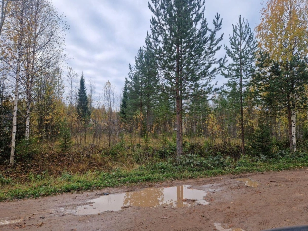 Купить земельный участок в Республике Коми. Вариант № 9637980, 0, площадь -  квм, цена 270000 рублей