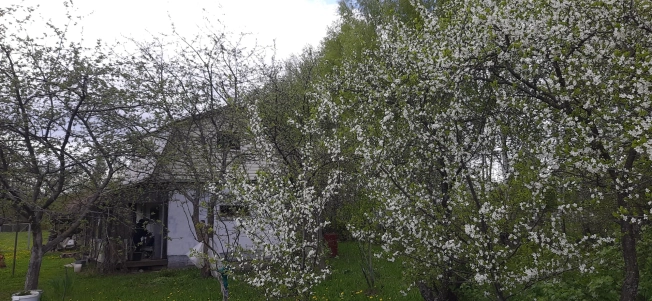 Купить дачу в Владимирской области. Вариант № 4856, 2, площадь -  квм, цена 1200000 рублей