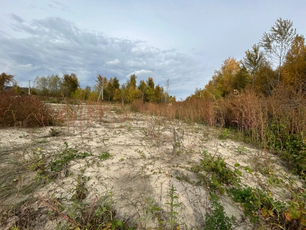 Купить земельный участок в Новосибирске. Вариант № 5524148, 25, площадь -  квм, цена 870000 рублей