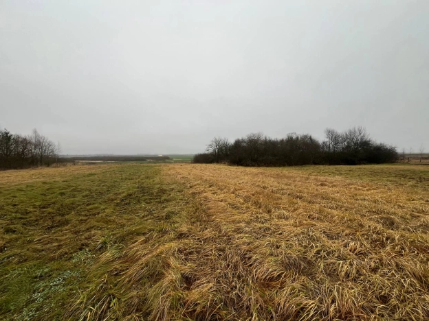 Купить земельный участок в Ивановской области. Вариант № 9798499, 13, площадь -  квм, цена 900000 рублей