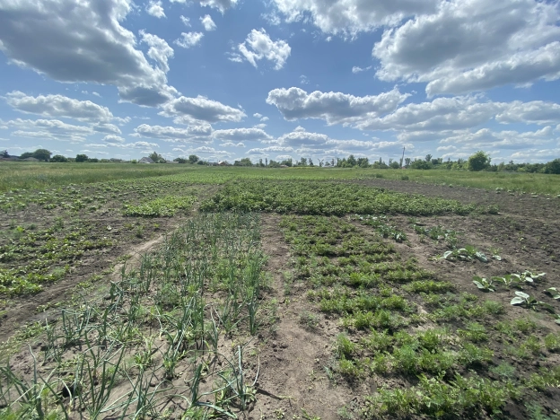 Купить дом на улице 2-й переулок Гагарина в Старом Осколе. Вариант № 15162, 19, площадь -  квм, цена 2900000 рублей