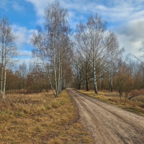 Купить земельный участок в Рязани. Вариант № 9526217, 2, площадь -  квм, цена 999999 рублей
