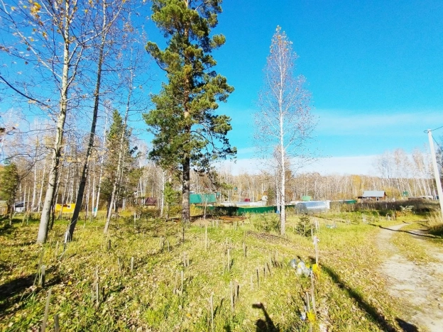 Купить земельный участок в Искитиме. Вариант № 19506, 24, площадь -  квм, цена 3430000 рублей