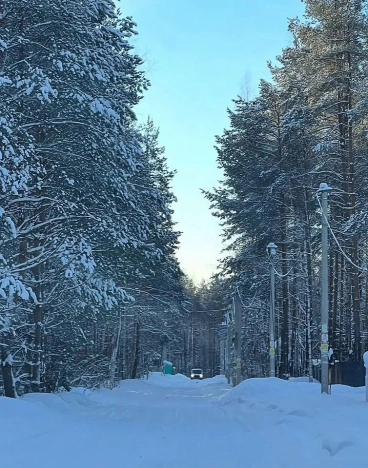 Купить земельный участок в Санкт-Петербурге. Вариант № 8185299, 8, площадь -  квм, цена 2500000 рублей