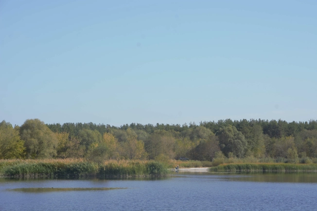 Купить квартиру в Воронеже. Вариант № 10172894, 24, площадь - квм, цена 3950000 рублей