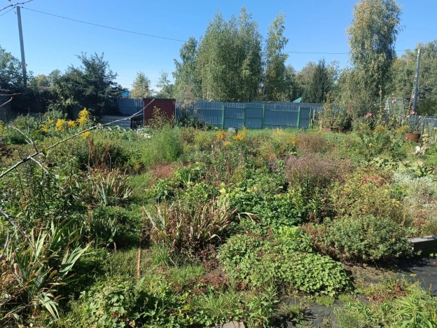 Купить земельный участок в Искитиме. Вариант № 2932860, 5, площадь -  квм, цена 700000 рублей