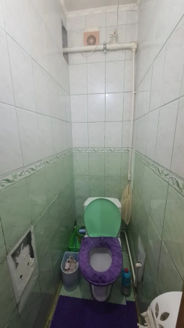 Купить квартиру на вторичке на улице Лесная в Алтайском крае. Вариант № 2137828, 10, площадь -  квм, цена 3300000 рублей