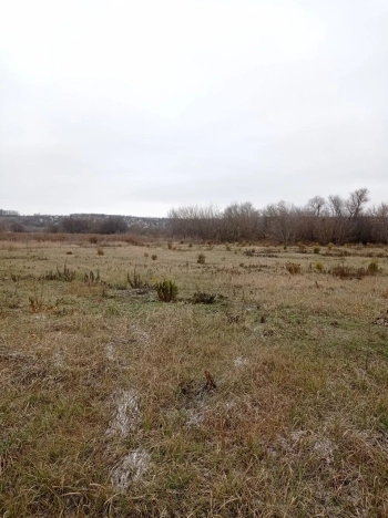 Купить земельный участок в Воронеже. Вариант № 19446, 5, площадь -  квм, цена 10800000 рублей