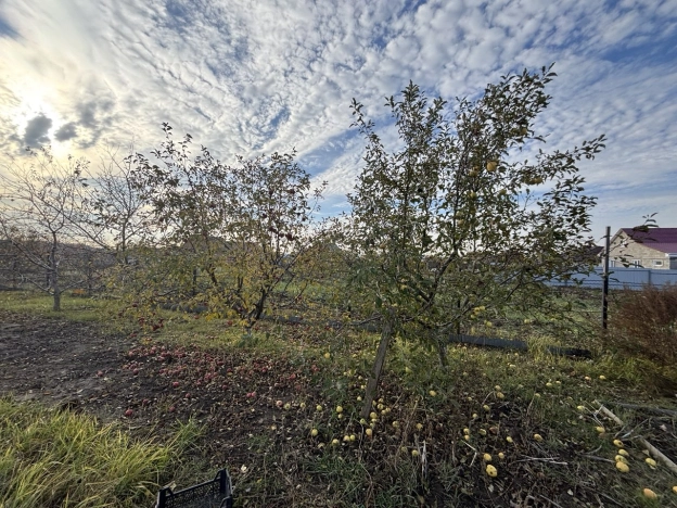 Купить дом в Курской области. Вариант № 54476, 31, площадь -  квм, цена 10750000 рублей