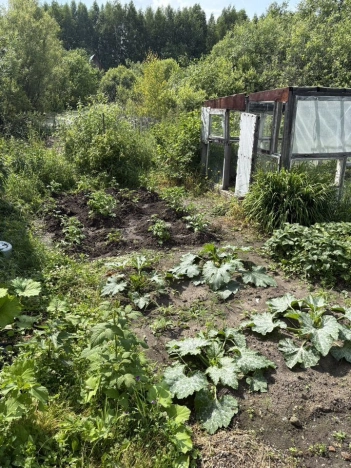 Купить квартиру в Тобольске. Вариант № 3810213, 13, площадь -  квм, цена 1600000 рублей