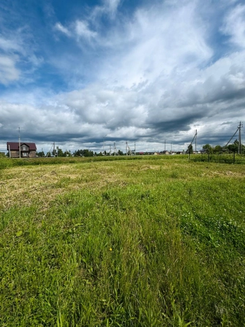 Купить земельный участок в Вологодской области. Вариант № 59894, 0, площадь -  квм, цена 1600000 рублей