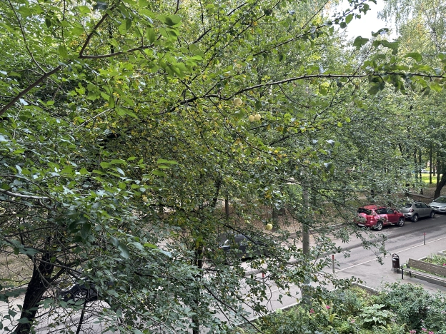 Купить квартиру в Москве. Вариант № 3378414, 40, площадь - квм, цена 15400000.0000 рублей