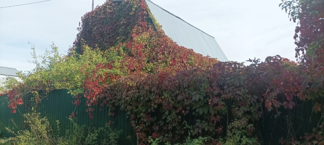 Купить земельный участок в Владимире. Вариант № 3876728, 5, площадь -  квм, цена 700000 рублей