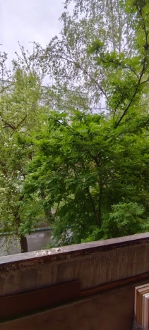 Купить двухкомнатную квартиру в Микрорайоне Золотая Нива в Новосибирске. Вариант № 39297, 22, площадь -  квм, цена 4850000 рублей