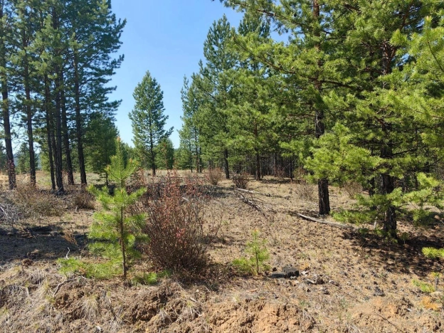 Купить земельный участок в Улан-Удэ. Вариант № 46765, 1, площадь -  квм, цена 180000 рублей